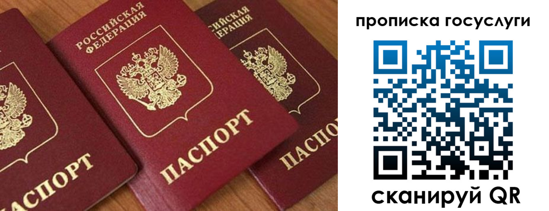 временная прописка в Заринске